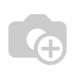 2025 Myat Lay Ngone Future Mini Camera Bag